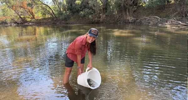 Catfish-Are-Coming-Back-FI