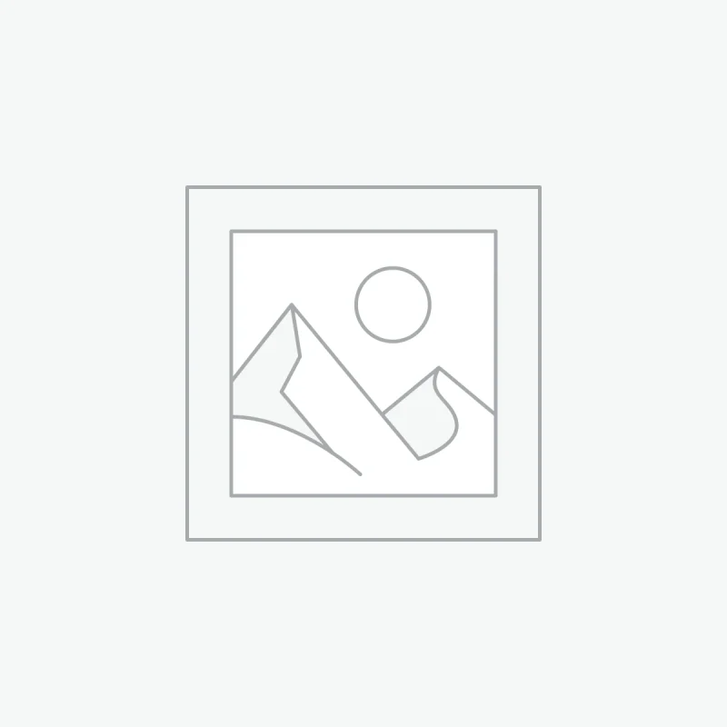 April Meeting with Rick Dobson